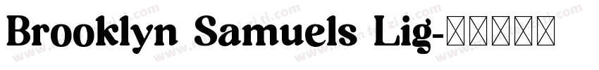 Brooklyn Samuels Lig字体转换